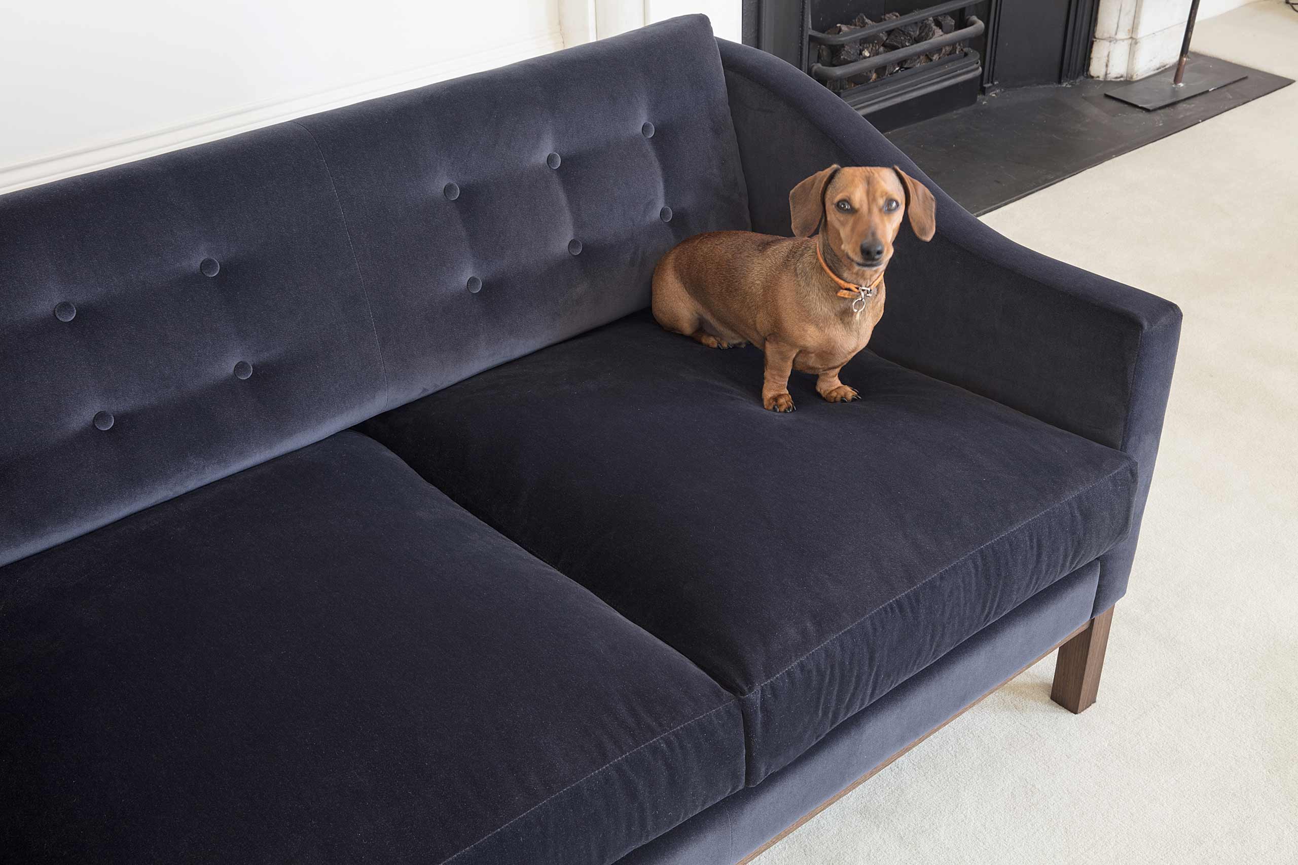 Gosling Velvet buttoned 3 seat sofa by Six Hands